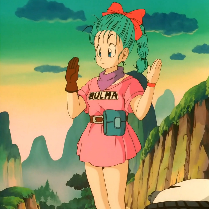 Bulma Inspired Crop Top